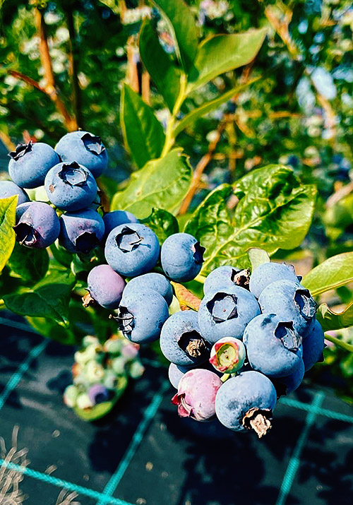 Slide #2 Slide background