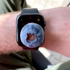 Der Heidelbeer - Heidelbeeren vom Niederrhein