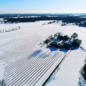 Der Heidelbeer - Heidelbeeren vom Niederrhein